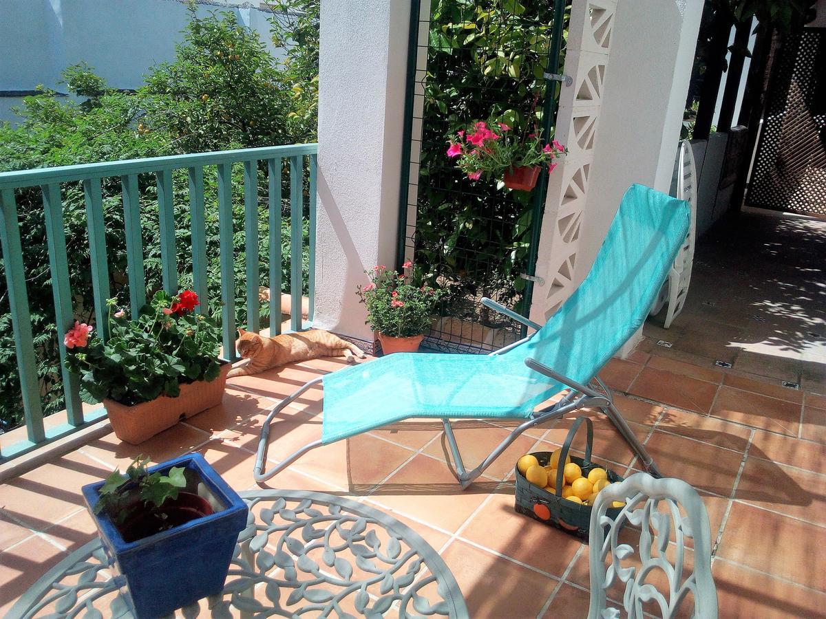 Patio Del Limonero Leilighet Córdoba Eksteriør bilde